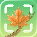Tree Identifier - Wood & Leaf iOS Icon