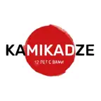 Камикадзе | Челябинск iOS Icon