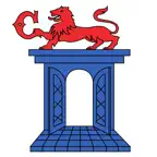 smartChiasso Icon