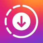 Story Saver : Viewer & Save icon