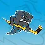 Quad City Storm iOS Icon