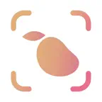 Zempy Icon