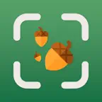 Seed Identifier - AI Scanner iOS Icon