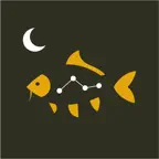 KWO Insights Icon