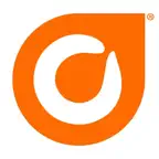 Orange Leaf App iOS Icon