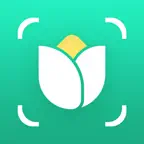 PlantGo: Plant Identifier・Care iOS Icon