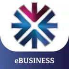 QNB eBusiness Mobile iOS Icon