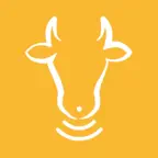 CowLink iOS Icon