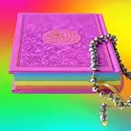 Pink Quran App القران الكريم iOS Icon
