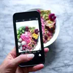 Food Lover Diary iOS Icon