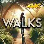 Virtual Walks iOS Icon