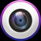 SL Visual icon