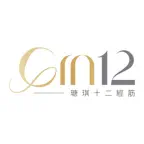 Gin12 瑭琪十二經筋 iOS Icon