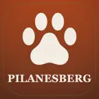 Pilanesberg Safari: Map iOS Icon
