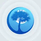 Palmetto Sports iOS Icon