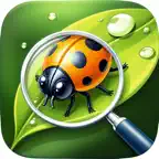 Insect Identifier Bug Scanner iOS Icon