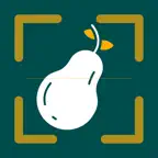 Nutrify - AI Calorie Tracker iOS Icon