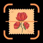 Stamp Identifier AI iOS Icon