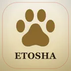 Etosha Safari: Map & Guide iOS Icon