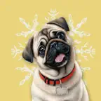 Pug-tastic Holiday Moments iOS Icon