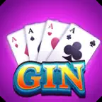 Gin Rummy - Offline Game iOS Icon
