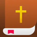 Bible Flow:chat&prayer iOS Icon
