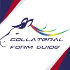 Collateral Form Guide iOS Icon