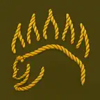 Knot IQ: 3D Knot Tying icon