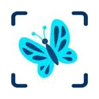 Insect Identifier: Bug ID AI iOS Icon