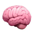 PDF Brainrot - PDF to Brainrot iOS Icon