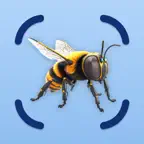 Insect Identifier: BugCam AI iOS Icon
