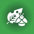 Plant disease identifier app iOS Icon