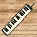 Melodica Sim iOS Icon