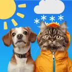 Weather Pet - Local Forecast icon