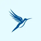 SofiaIQ: Flutter and Dart Code iOS Icon