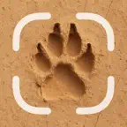 Animal Tracks Identifier iOS Icon