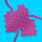 Knit Factory iOS Icon