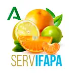 Riego Citrus iOS Icon