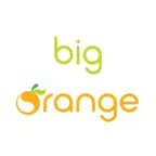 Big Orange Bubble iOS Icon