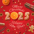 Christmas Countdown - Stickers iOS Icon