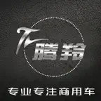 腾羚智行 iOS Icon
