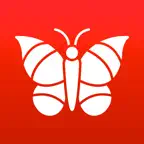 Photo Insect - Identify Bugs iOS Icon