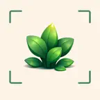 Plant Identifier iOS Icon