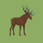 Elk Sounds & Calls iOS Icon