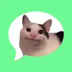 Message stickers : animal meme iOS Icon