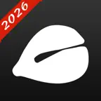 Wooden Fish 2 - 2025 iOS Icon