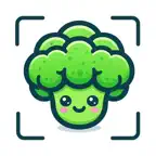 FoodSense: AI Calorie Counter iOS Icon