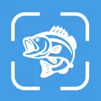 Fish Identifier - AI Angler iOS Icon