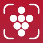 Wine AI - Scan & Track iOS Icon