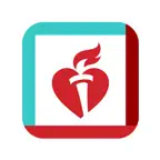 Teen of Impact iOS Icon